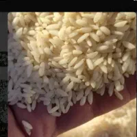 یک گونی چلتوک (برنج چمپا)