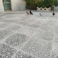 سیاه ابادانی
