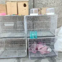 قفس 60 اغال پرنده