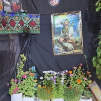 طبل ۲ متر اجاره میکنم