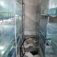 پایه آکواریوم ۳ طبقه و ۴ طبقه