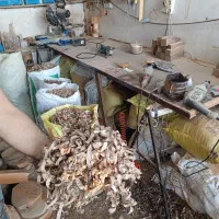 پوشال چوب گردو