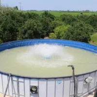 استخر پرورش ماهی