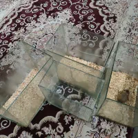 آکواریوم و سطل مناسب پرورش همستر و خوکچه و خزنده