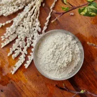 گرده نخل نر
