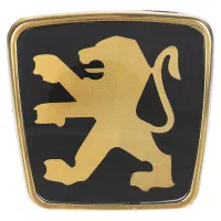 پژو ۴۰۵، ۲۰۰۰ دوگانه سوز مدل ۷۸