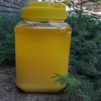 روغن زردگاوی به شرط 970/000