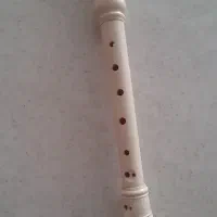 ریکوردر(فولوت )وتنبک