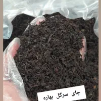 چای سرگل بهاره گیلان اردیبهشت ۱۴۰۵