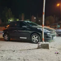 207 فرمان برقی مدل 1400