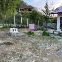 اجاره روزانه ویلا جنگلی