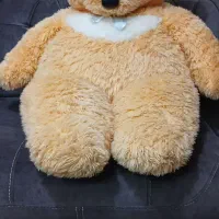 عروسک خرس