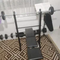 میز و هالتر