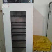 دستگاه جوجه کشی۲۱۰ تایی هدایت نو