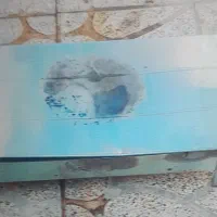 منقل کاملا سالم