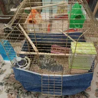 قفس پرنده استیل