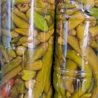 انواع  ترشیجات  رب گوجه  وسبزیجات  خانگی، پارمیس،