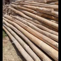 خرید انواع چوب سالم و ضایعات