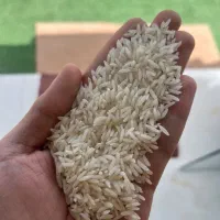 برنج هاشمی درجه یک