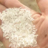 برنج تایلندی