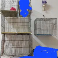 قفس پرنده
