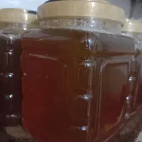 انواع عسل تک وعمده بدون تغذیه