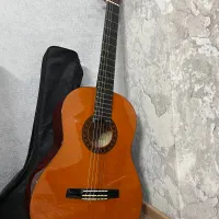 گیتار والنسیا Cg160