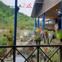 اجاره سوییت ویلا جنگلی (کلبه سنتی)