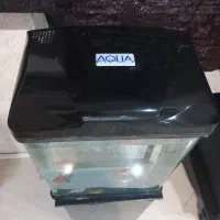 آکواریوم ۲۰ لیتری همراه پایه بدون ماهی