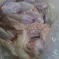 فیله سینه بال چربی مرغ