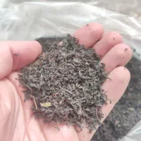 چای سرگل درجه یک ممتاز لاهیجان (چین اول)