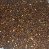 کشمش|خوردنی و آشامیدنی|لالجین, |دیوار