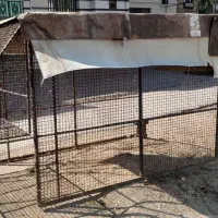 اتاق پخش  مزدا تک کابین