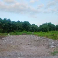 فروش زمین 250 متری در بندرانزلی بشمن