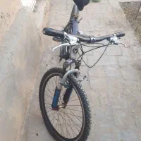 دوچرخه ۲۶ ویوا سند دار