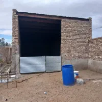 دامداری