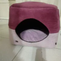 کلبه سگ وگربه
