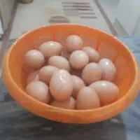 تخم مرغ محلی