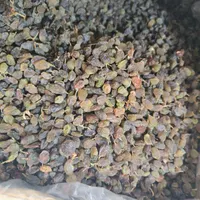 کشمش پلویی درجه یک سرکه ای ابگیری|خوردنی و آشامیدنی|تهران, ملک‌آباد|دیوار