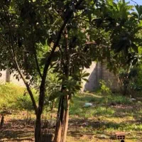 بهشتی-ویلایی-مناسب-سکونت-و-ساخت