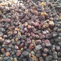 فروش خرمای ضایعاتی جهت مصارف دام..
