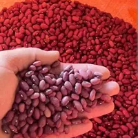 سلام و عرض ادب .فروش لوبیا قرمز سفید کپسولی