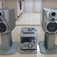 ظبط و باند