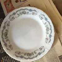 پیش دستی
