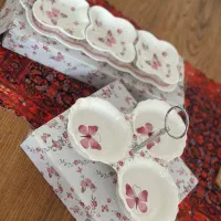 ظرف چینی خارجی