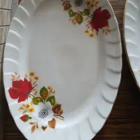 ظروف چینی