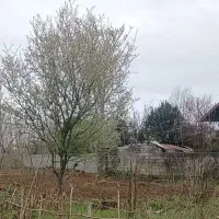 زمین-به-مساحت-دوقواره-کنارهم-200-و300-متری