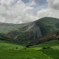 درخواست پیاز زعفران