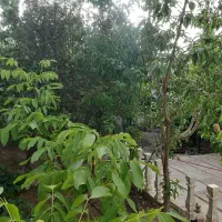 شهرستان-کهک-روستای-توریستی-میم