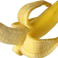 پایانزودانزالی